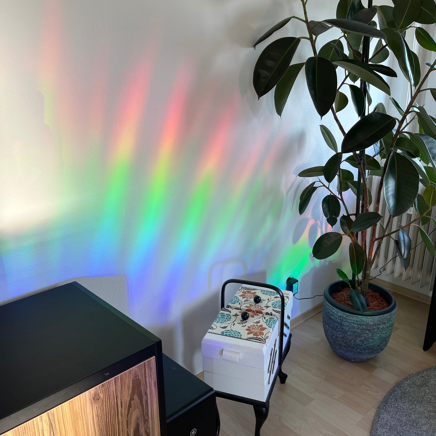 B-Ware Sonnengläser - Intricat