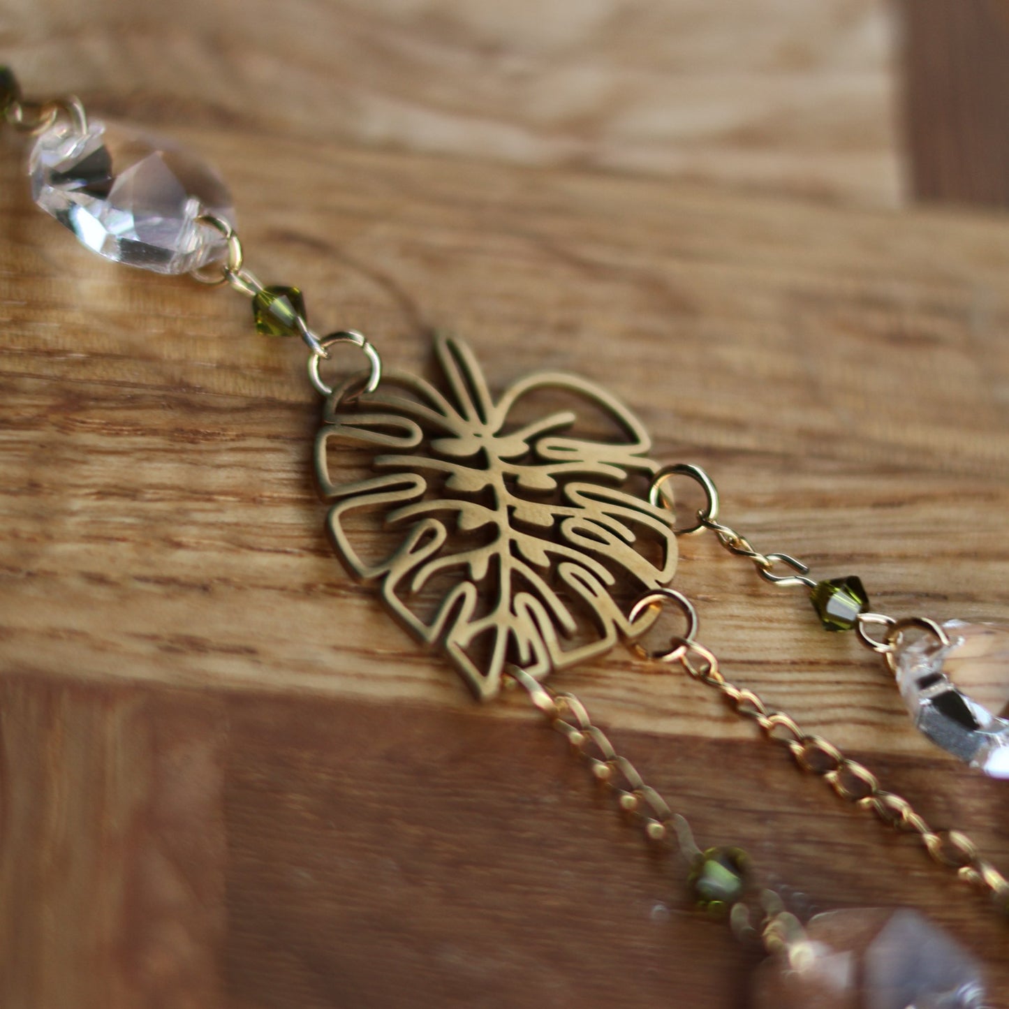 Monstera Dream