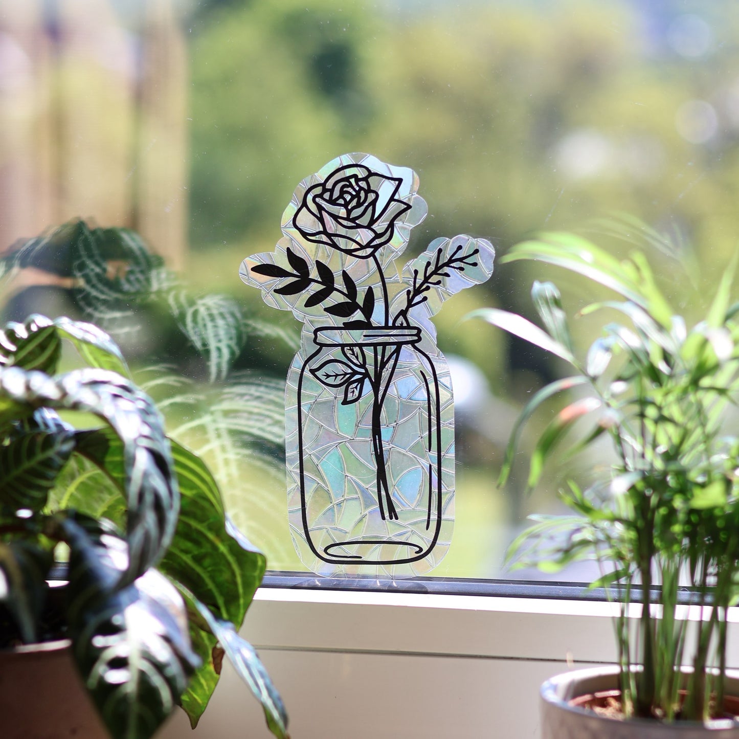 Rose in Vase